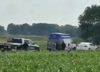 Hallan a pareja muerta en San Miguel Espejo Pareja