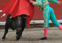 Plaza México detendrá corridas de toros por el resto de 2022 Plaza