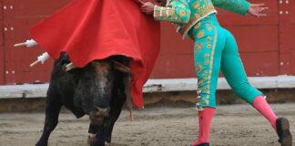 Plaza México detendrá corridas de toros por el resto de 2022 Plaza