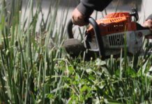 Presupuesto limita rehabilitación de parques en Puebla Presupuesto