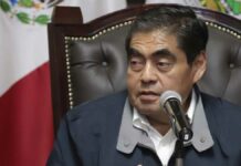 Silvestre N. caerá pronto por feminicidio de Cecilia Monzón: MBH Silvestre