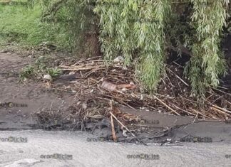 Hallan cadáver a orilla del río Atoyac a la altura de Lomas
