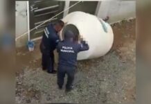 Rescatan a menor abandonada por sus papás en un tinaco