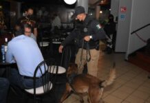 Realizan operativo en bares y antros; clausuran 5