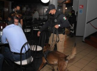 Realizan operativo en bares y antros; clausuran 5