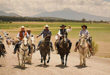 Armenta cometió un error al participar en cabalgata de los Morales: Barbosa armenta