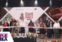 Gobierno de Puebla fortalece cadenas productivas de café