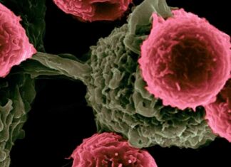 Analizan en EU vacuna para eliminar tumores cancerígenos cáncer
