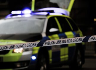 Hallan restos de niños en maletas subastadas en Nueva Zelanda