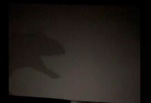 Se va la luz y empleados de cine recrean escena de ‘Jurassic World’ Jurassic cine