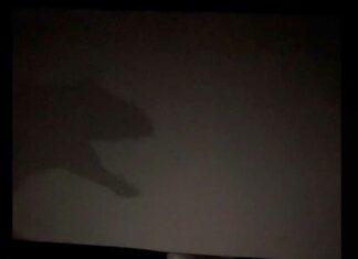 Se va la luz y empleados de cine recrean escena de ‘Jurassic World’ Jurassic cine