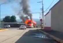 Seguridad Federal y estatal realizan operativo en Michoacán Michoacán