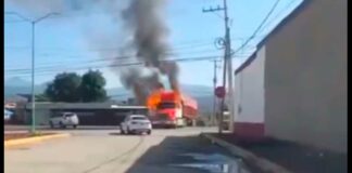 Seguridad Federal y estatal realizan operativo en Michoacán Michoacán