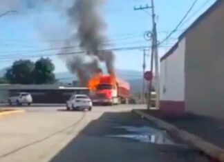 Seguridad Federal y estatal realizan operativo en Michoacán Michoacán
