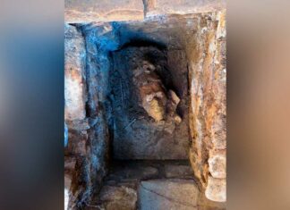 Hallan cabeza del dios del maíz en Chiapas