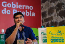 Realizarán primer Festival de la Luciérnaga en Tlahuapan primer