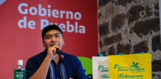 Realizarán primer Festival de la Luciérnaga en Tlahuapan primer