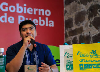 Realizarán primer Festival de la Luciérnaga en Tlahuapan primer