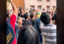 ¡Pugmanía! Realizan reunión de perros pugs en Querétaro pugs querétaro