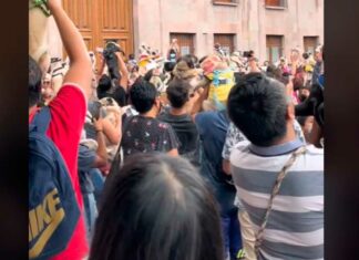¡Pugmanía! Realizan reunión de perros pugs en Querétaro pugs querétaro