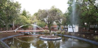 Siembra de 5 mil árboles en Puebla capital iniciará en julio Siembra