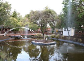 Siembra de 5 mil árboles en Puebla capital iniciará en julio Siembra