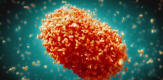 Viruela del mono: México suma 4 muertes y más de tres mil contagios viruela