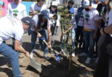 “Aire Joven” inicia con 4 mil árboles plantados en Puebla Aire Joven