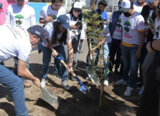 “Aire Joven” inicia con 4 mil árboles plantados en Puebla Aire Joven