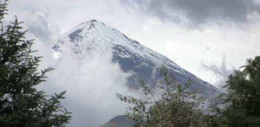 Alpinista