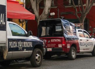 Ambulantes intentan desestabilizar; seguirán operativos: Adán Domínguez Ambulantes