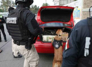 “CEDA 360”, el operativo para detectar vehículos robados CEDA