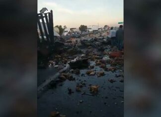 Camión con pollos vuelca y bloquea la Acatzingo-Cd Mendoza Camión