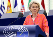 Comisión Europea prepara plan ante corte total de gas ruso Comisión