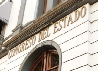 Congreso, sin obligación para legislar sobre aborto: diputado Congreso