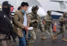 “DEA no tuvo injerencia directa” en captura de Caro Quintero: AMLO DEA