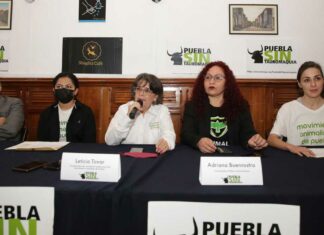 Animalistas piden mesas de trabajo para prohibir tauromaquia en Puebla Diputados