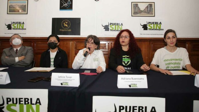 Diputados Diputados