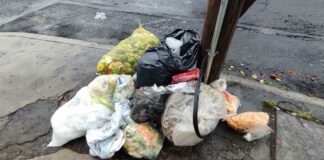 Estado revisa información sobre concesión de basura en Puebla capital Estado