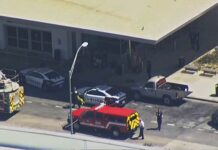 Tiroteo en aeropuerto de Dallas deja una mujer detenida