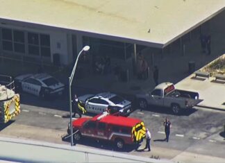 Tiroteo en aeropuerto de Dallas deja una mujer detenida