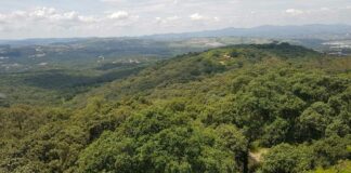 Gobierno protege otras 859 hectáreas en “Flor del Bosque” Gobierno