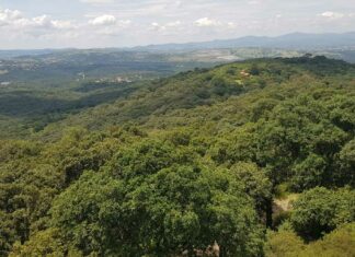 Gobierno protege otras 859 hectáreas en “Flor del Bosque” Gobierno