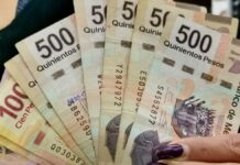 IMEF ve inflación de hasta 9% para este año IMEF
