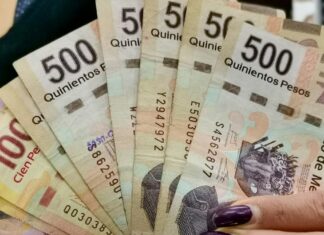 IMEF ve inflación de hasta 9% para este año IMEF