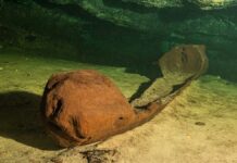 INAH recupera 500 mil objetos arqueológicos en obra del Tren Maya INAH