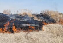 Incendios han dañado 5 mil hectáreas en Puebla Incendios