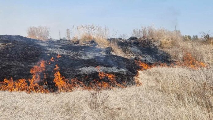 Incendios