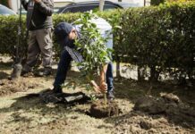 Jornada de servicios llega a fraccionamientos de San Andrés Jornada