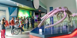 Personas con discapacidad participan en actividades del SMDIF Personas